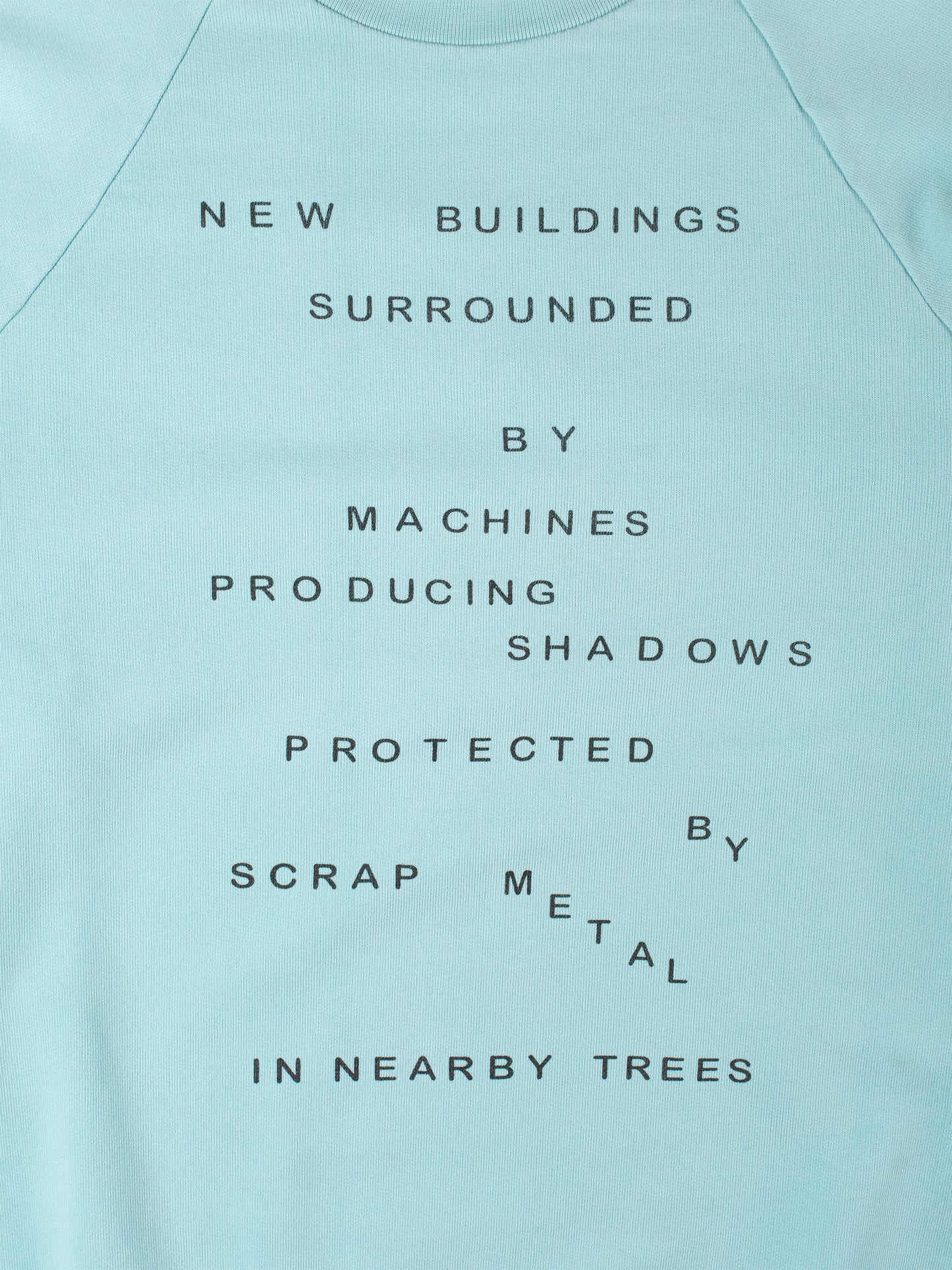 RAF by Raf Simons - S/S 2006 - (sample) "New Buildings" crewneck