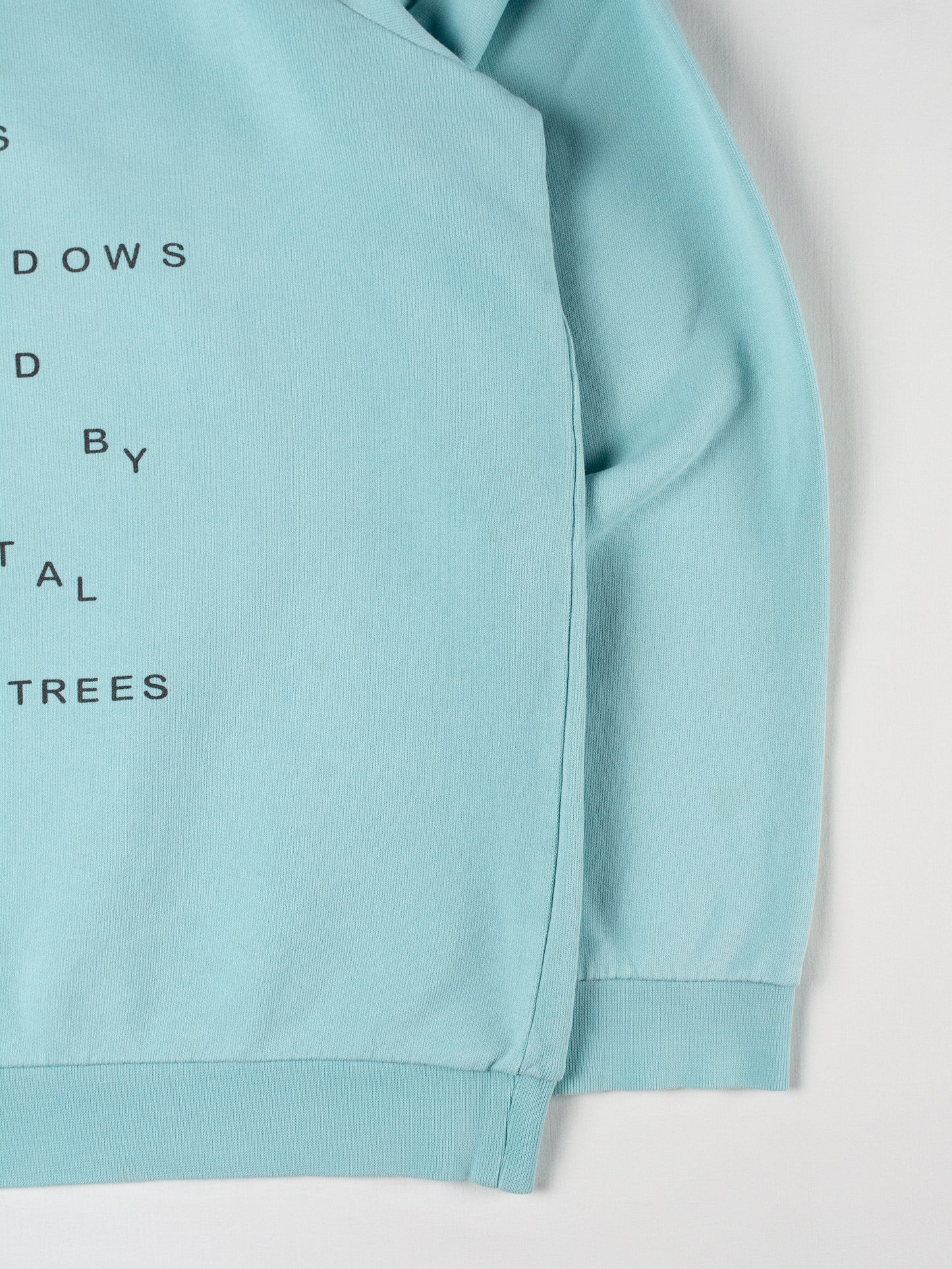 RAF by Raf Simons - S/S 2006 - (sample) "New Buildings" crewneck