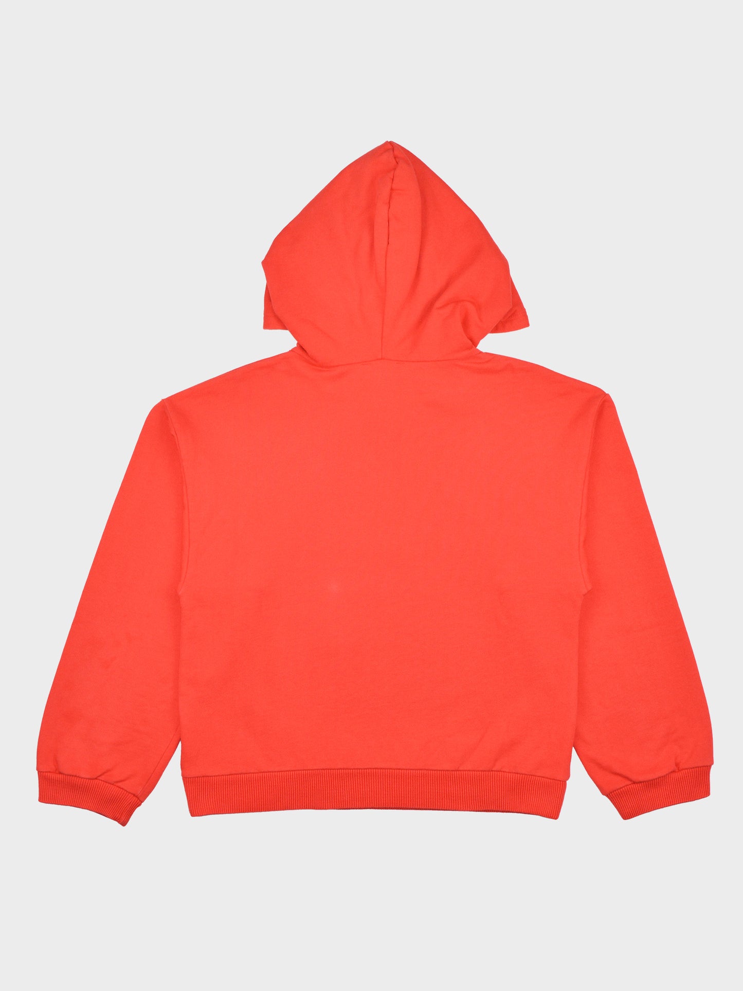 Gosha Rubchinskiy - A/W 2015 - flag hoodie - size S