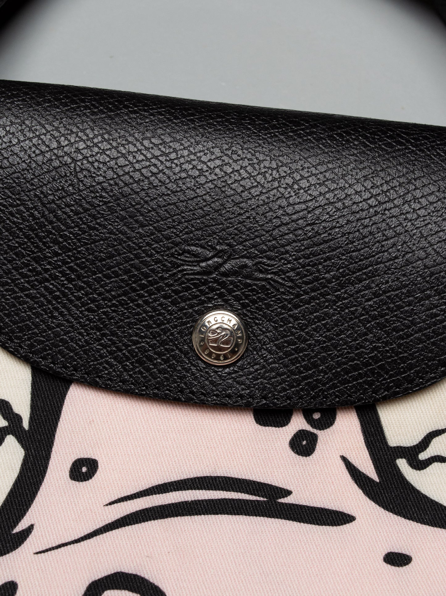 Longchamp X Jeremy Scott X Madballs A/W 2014 Le Pliage bag