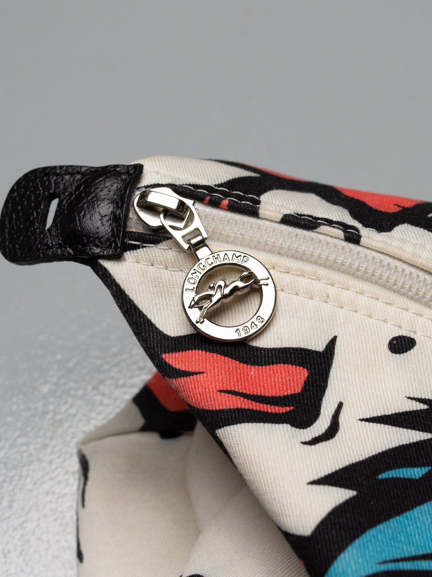 Longchamp X Jeremy Scott X Madballs A/W 2014 Le Pliage bag