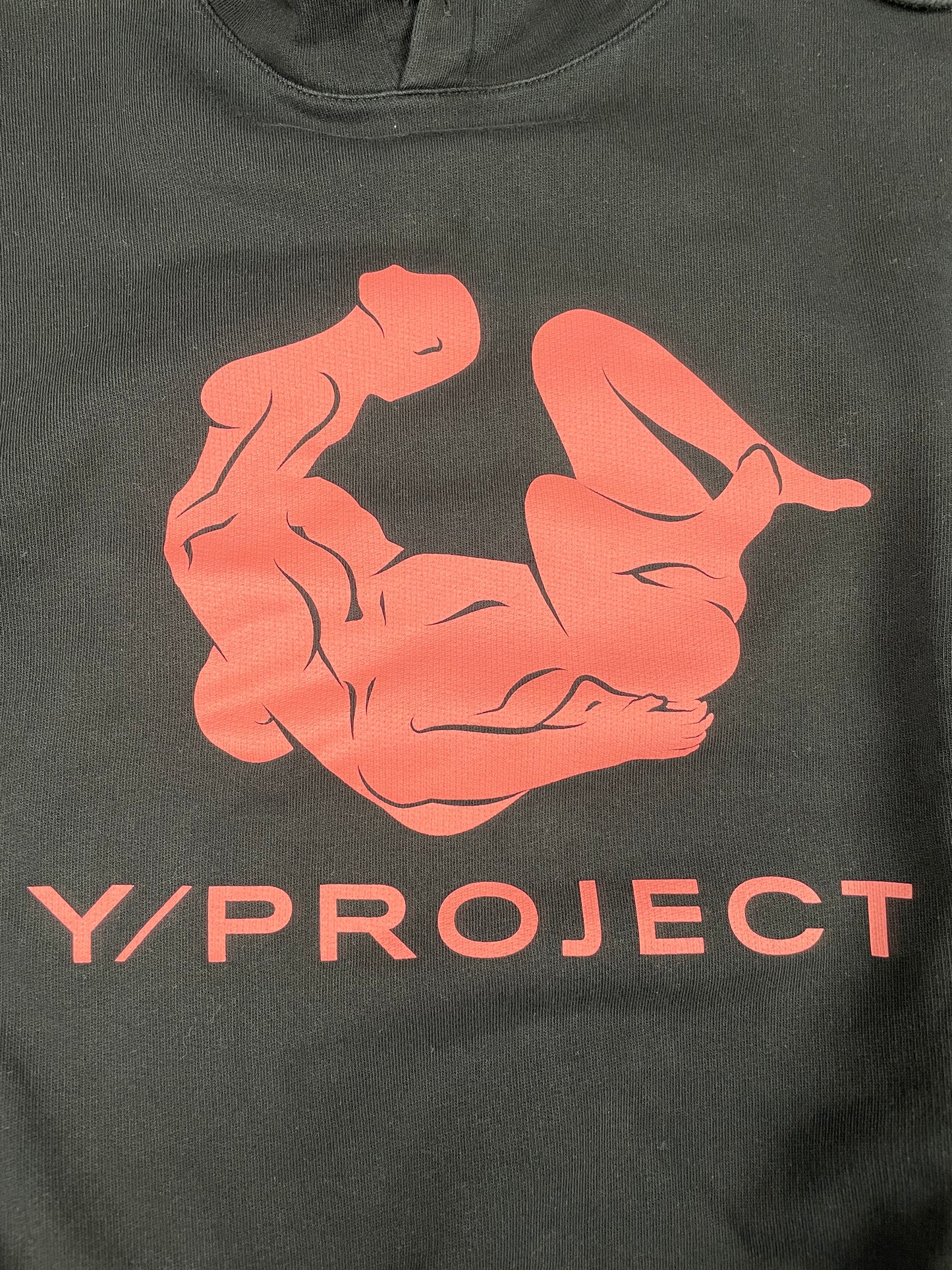 Y/Project AW21 Kamasutra hoodie - size S